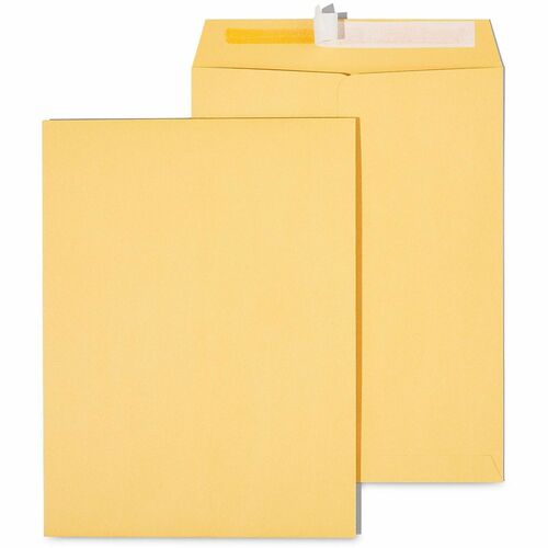 Envelope, 9x12, Cat, Breaker 100/BX