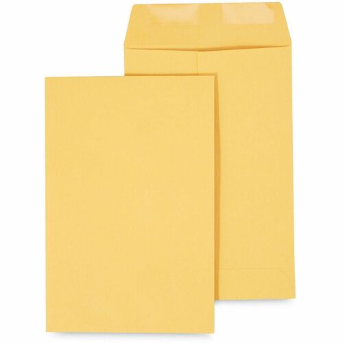 Envelope, Cat, 6.5 X 9.5, Brkr 500/BX
