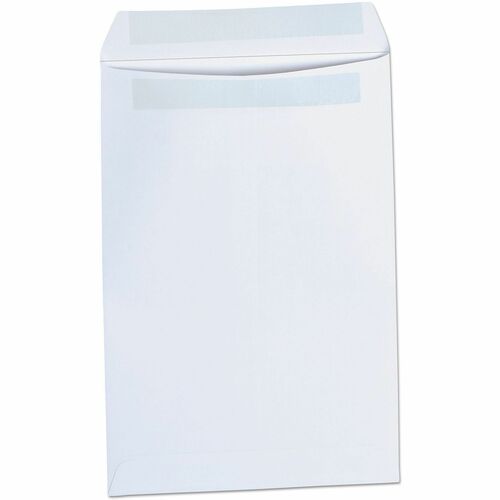 Envelope, 6x9, Catalog, White 100/BX