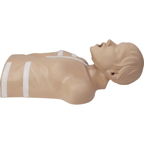 AED3, Training Manikin, ZOLL