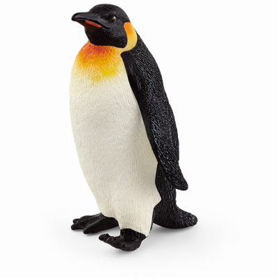 Emperor Penguin