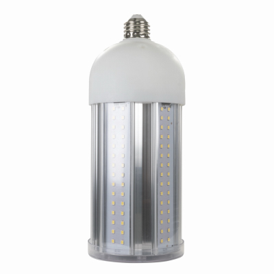 10000L LED E26 Bulb