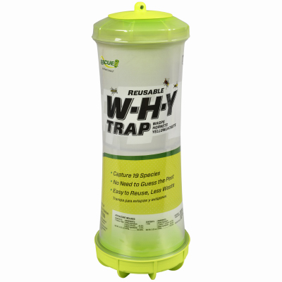 Why Wasp/Hornet Trap