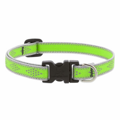 1/2x10-16"GD Dog Collar