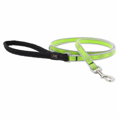 1/2x6' GD Dog Leash