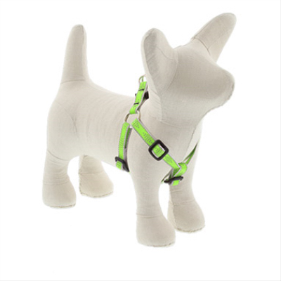 1/2x12-18GD Dog Harness