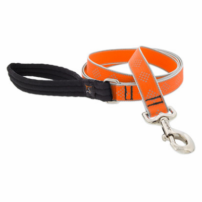 1x6' OD Dog Leash