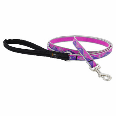 1/2x6' PP Dog Leash