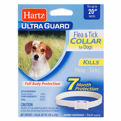 20" WHT Dog Flea Collar