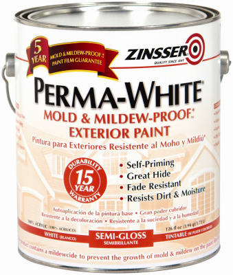 GAL SG Mildew Paint