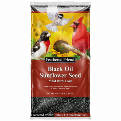 5LB BLK Sun Seed