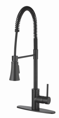 HP MB SGL Kitch Faucet
