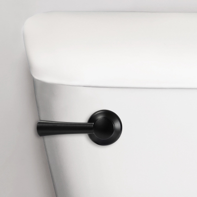 Matte BLK Toilet Lever