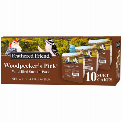 10PC Woodpecker Suet