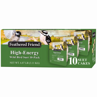 10PC Energy Suet