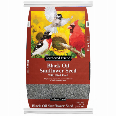 40LB BLK Sun Seed