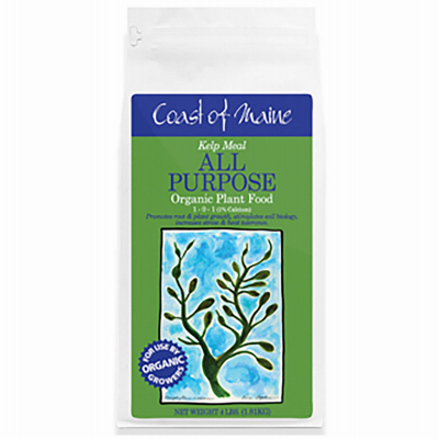4LB Norwegian Kelp