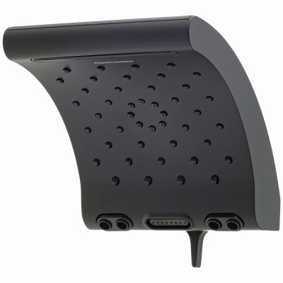 Evolution BLK SHWR Head