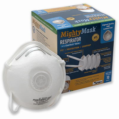 10PK LG N95 Respirator