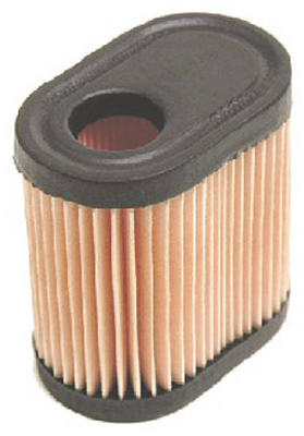 Tecumseh Air Filter
