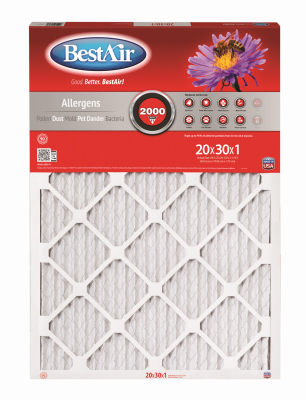 20x30x1 Furnace Filter