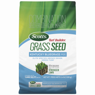3LB Kentucky BLU Seed