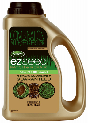 3.75LB Tall Fesc Seed