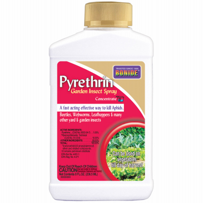 8OZ Conc GDN Spray