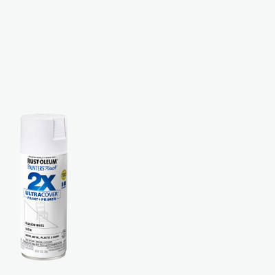 PT2X 12OZ Sat WHT Paint