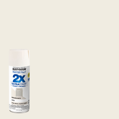 PT2X 12OZ Sat WHT Paint