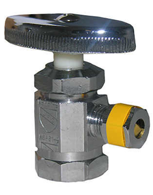 1/2FPTx1/4CHR ANG Valve