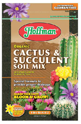4QT Cactus/Succelen Mix