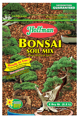 2QT Bonsai Mix