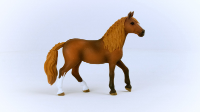 Paso Peruano Mare