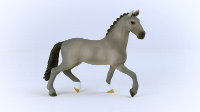 Cheval de Selle Francai