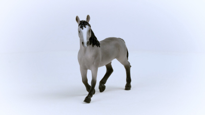 Cheval deselle Stallion