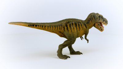 Tarbosaurus