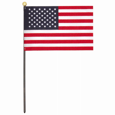 48PK 4x6 US Hand Flag