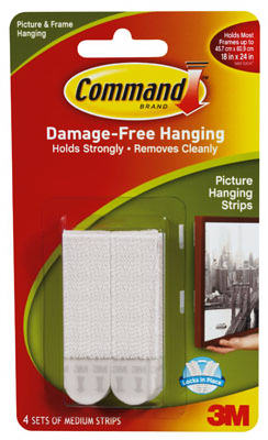 MED WHT Pict Hang Strip