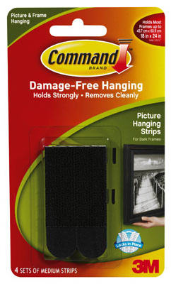 MED BLK Pict Hang Strip