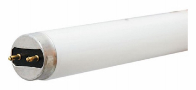 GE 32W T8 Bulb