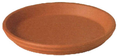 6" TC Saucer