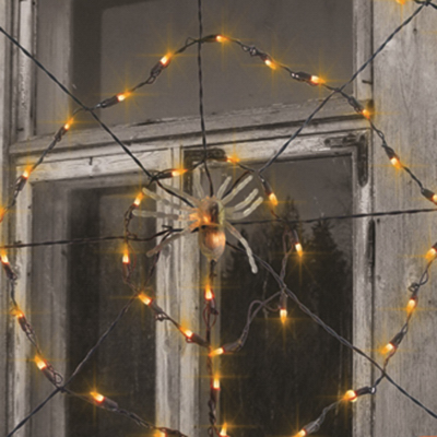 5' ORG Spider Web