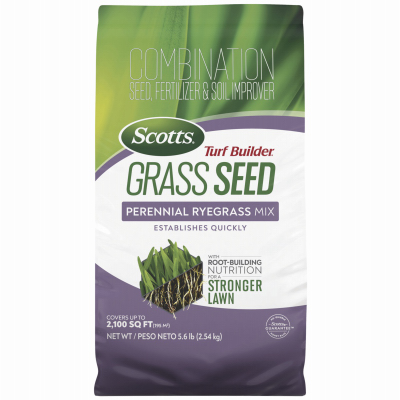 7LB Peren Rye Seed
