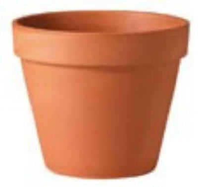 12" STD Clay Pot