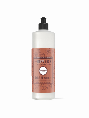 16OZ Ginger Dish Soap