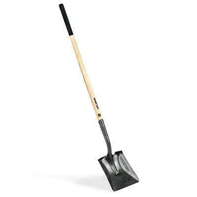 LHSP Transfer Shovel