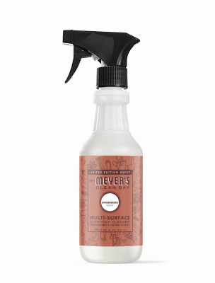 16OZ Ginger MS Spray