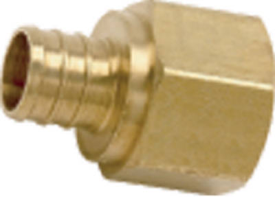 1/2Barbx1/2FPT Adapter