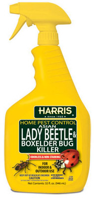 32OZ Beetle Bug Killer